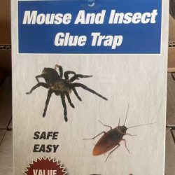 Insecticide 6000 Units - Effective Pest Control | Bulk Wholesale Deals