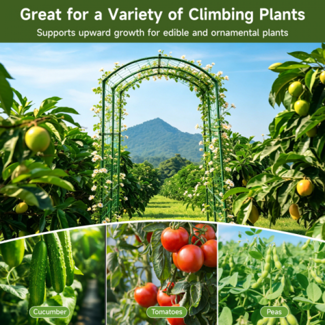 Plant Climbing Rack 412 Set - Durable Garden Support | Wholesale Discounts - Image 7