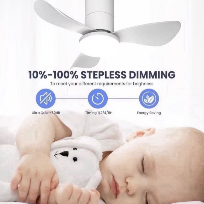 26 Inch Ceiling Fan with Light - Cool Comfort for Home | Bulk OEM Available - Image 1